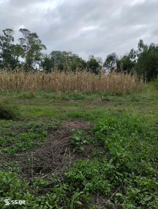 Land For Sale. Anaklia