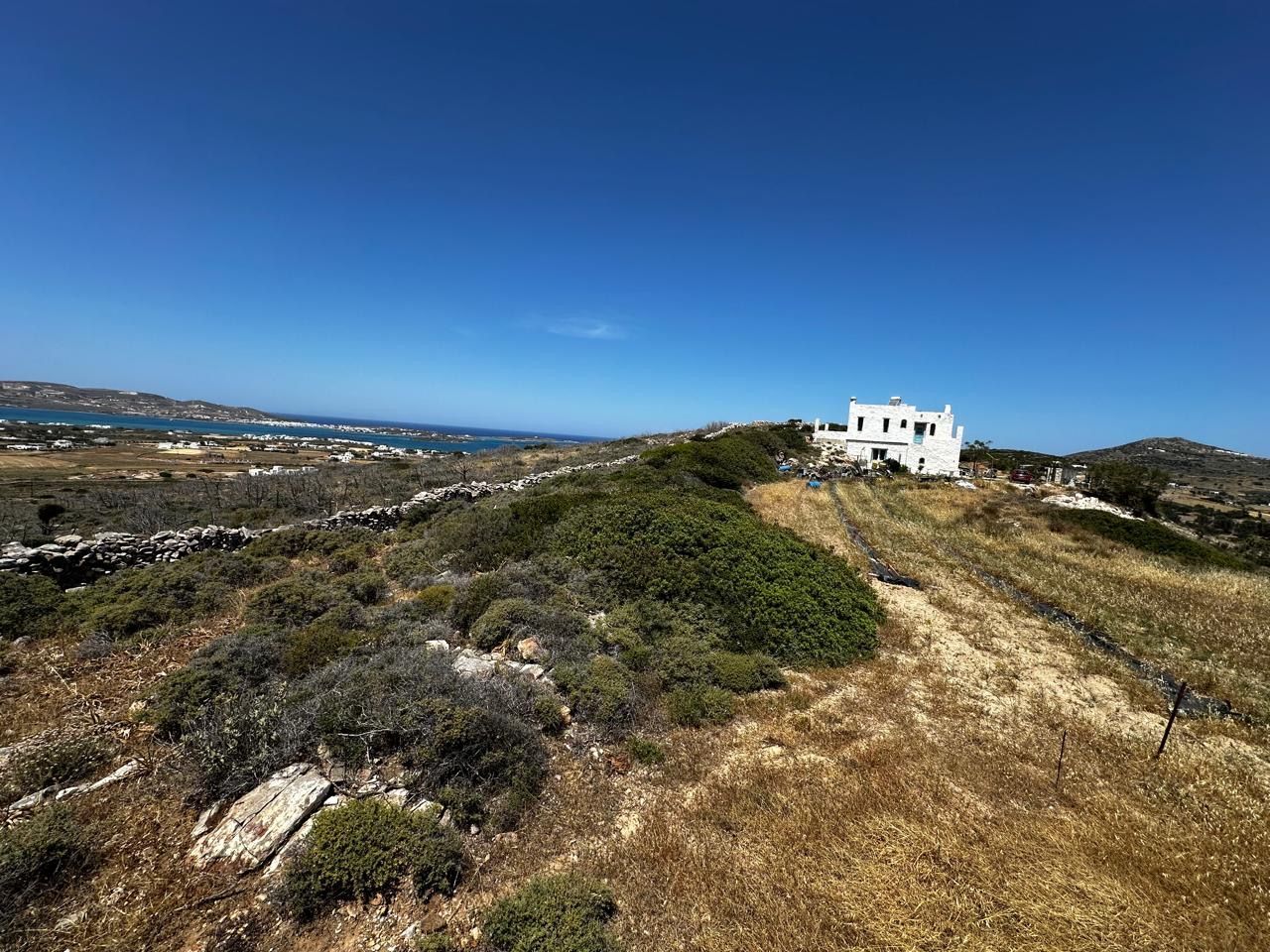 4100 m² Plot