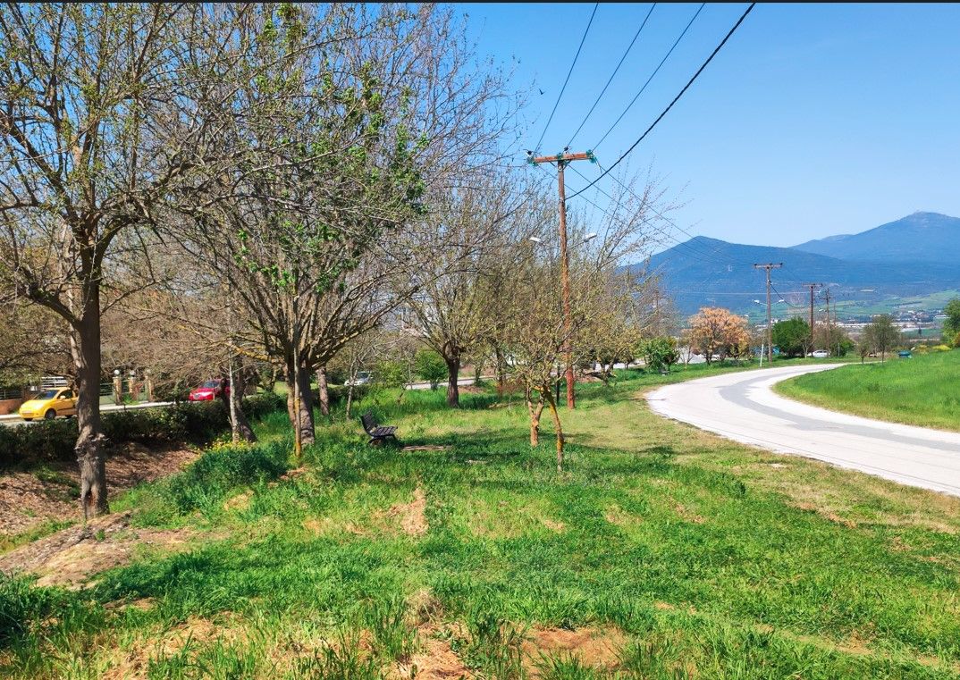 504 m² Plot
