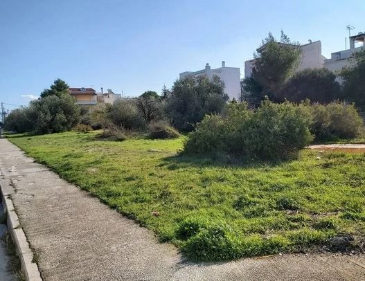 Οικόπεδο 386τ.μ.