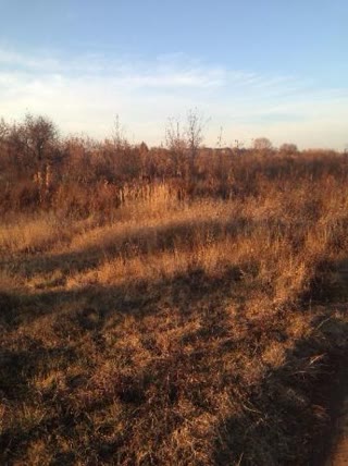 For sale plot Derhachi
