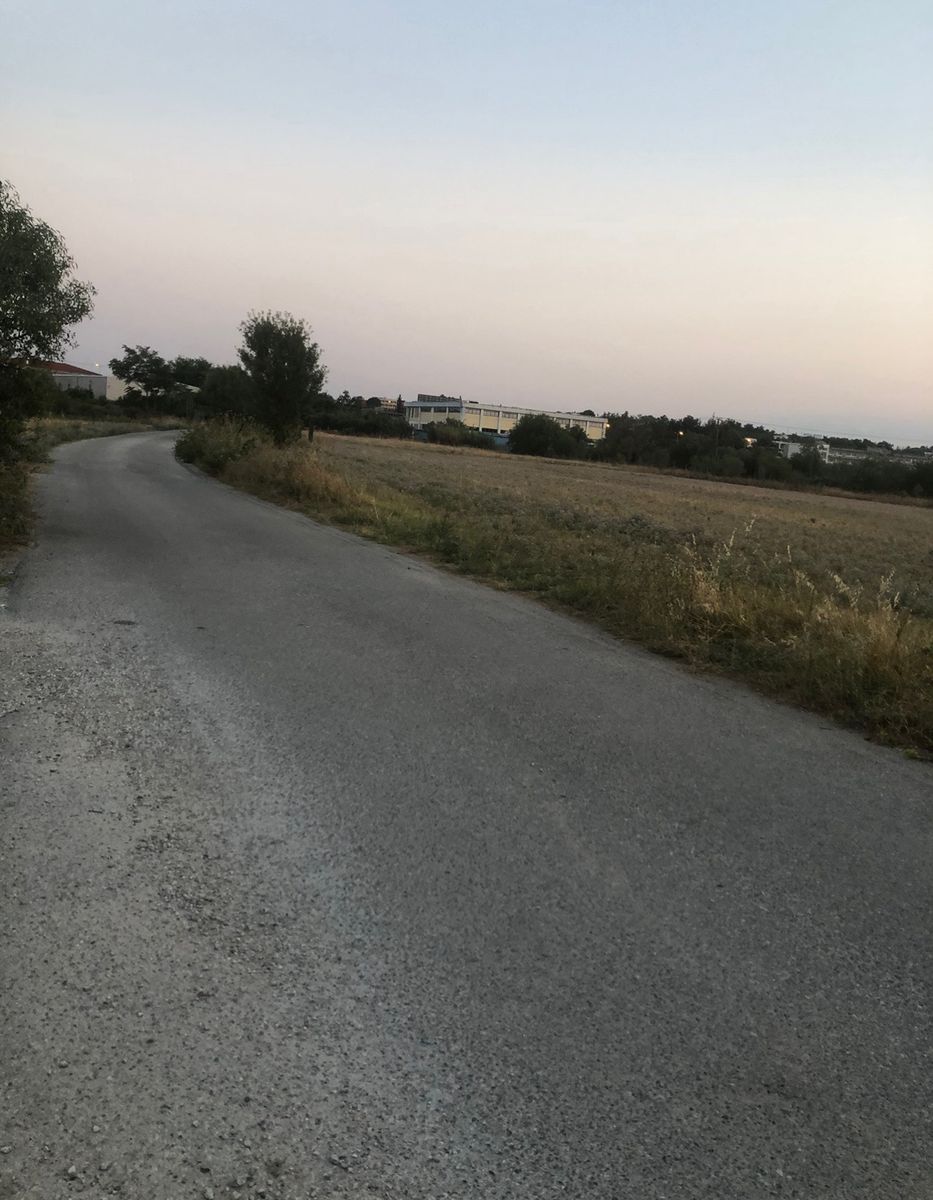 10000 m² Parcel