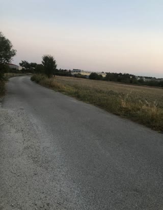 10000 m² Parcel