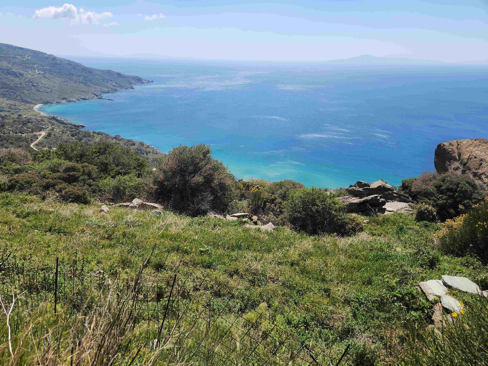 Αγροτεμάχιο 12447 τ.μ.