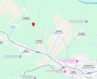 იყიდება  სასოფლო  სამეურნეო მიწის ნაკვეთი თელავში