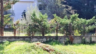 500 m² Plot