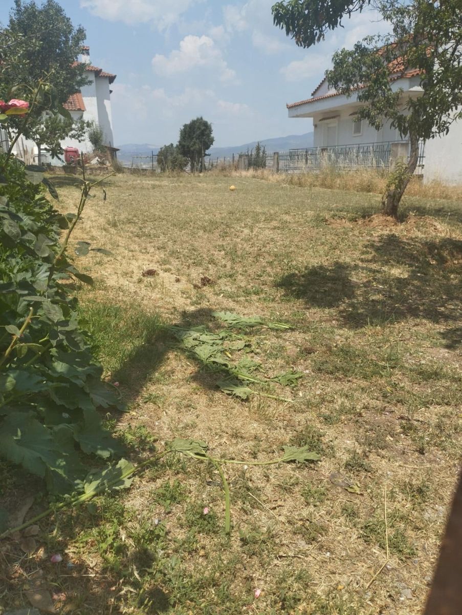 380 m² Plot