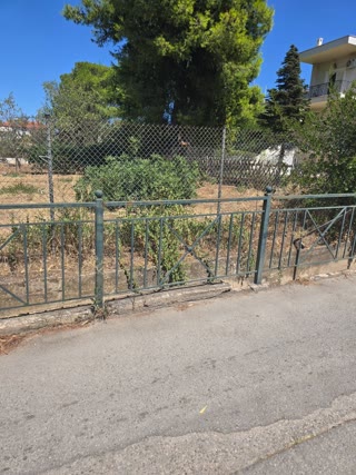 567 m² Plot