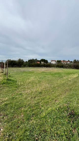 Участок, 2500 м²