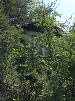 Продам дачу на старому Салтіві