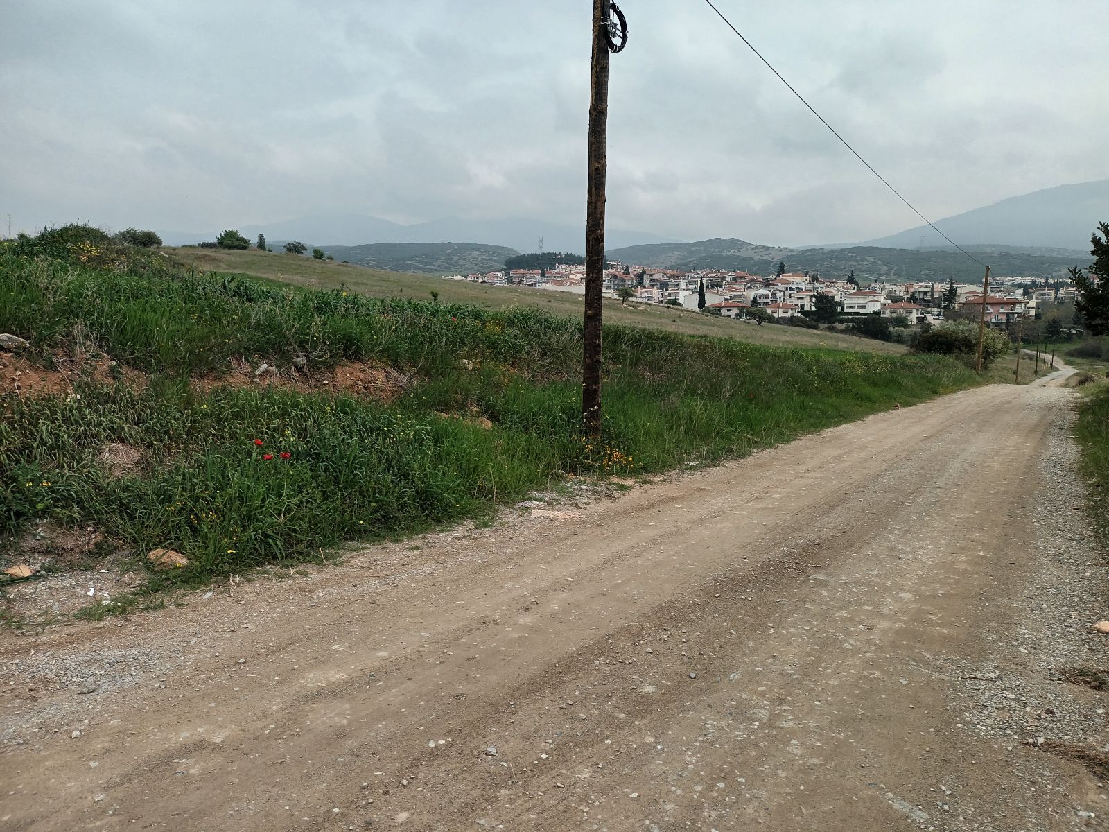 16000 m² Parcel