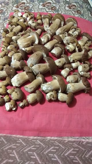 Дача участок під забудову