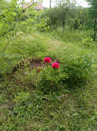 Dacha in Novye Derhachi