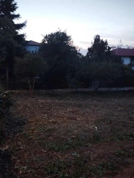 700 m² Plot