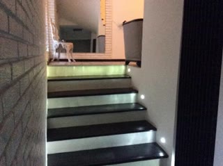 A fully operational hotel for rent in Saburtalo