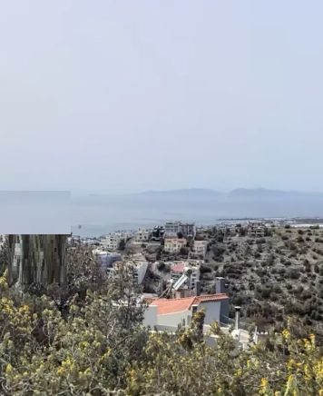 364 m² Plot
