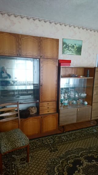 Продам квартиру з земельною ділянкою, гаражем, погребом, сараєм