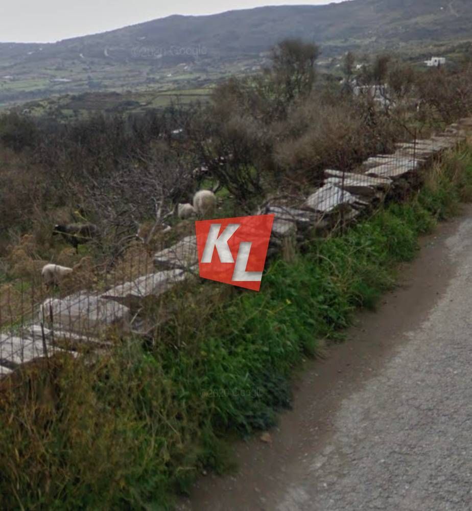 Οικόπεδο 2000τ.μ.