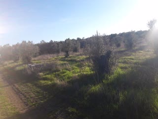 Agricultural Parcel of 8400 m²