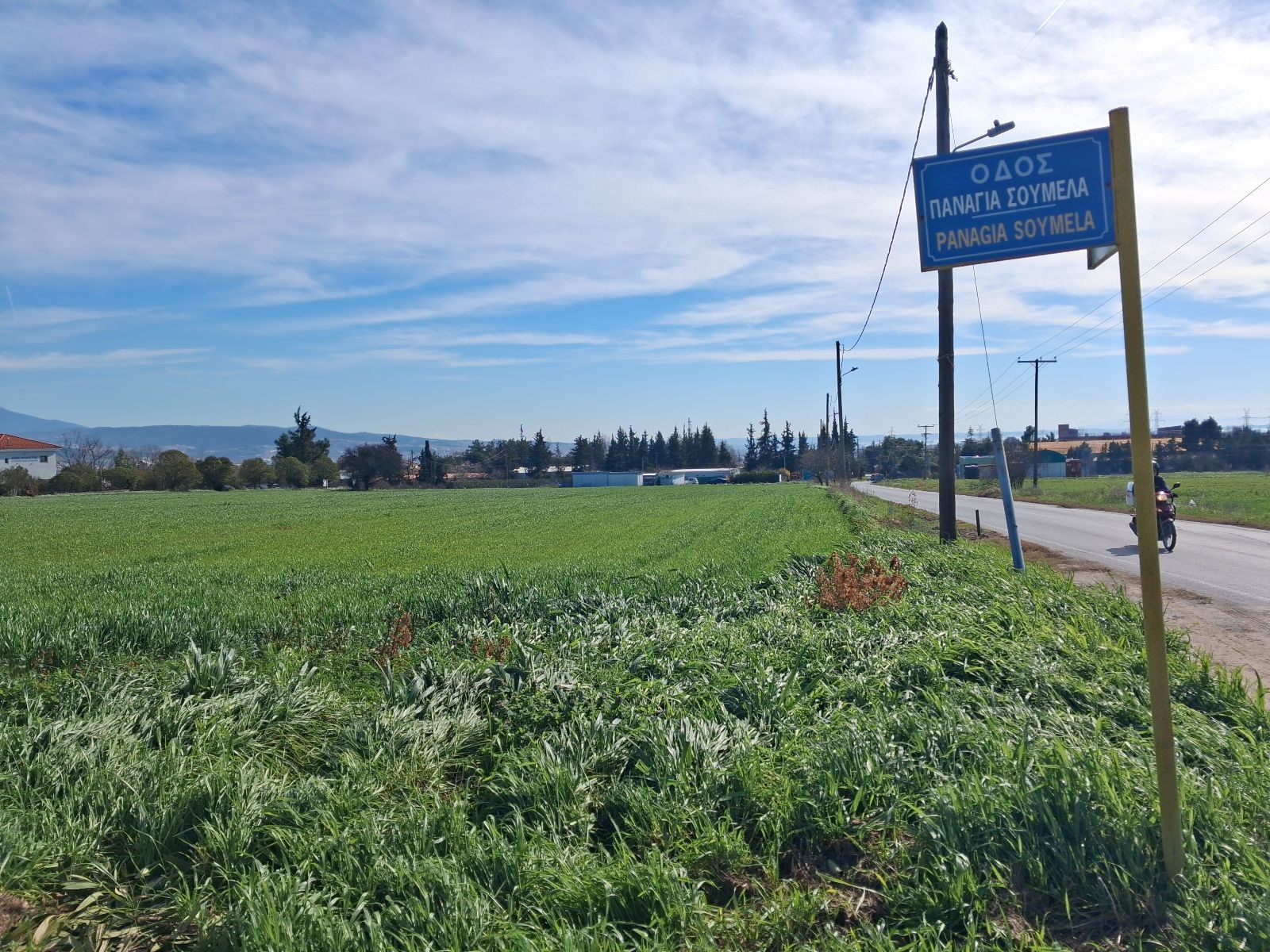 2500 m² Plot