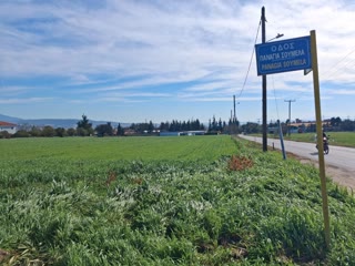 2500 m² Plot