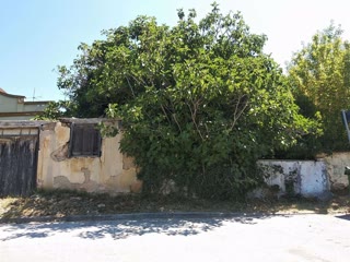 1610 m² Plot