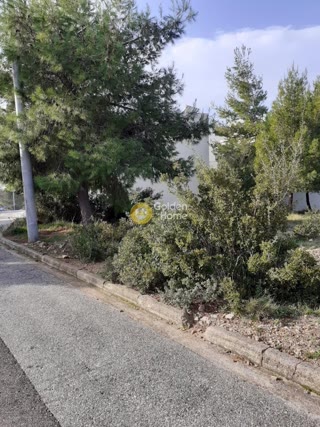 280 m² Plot