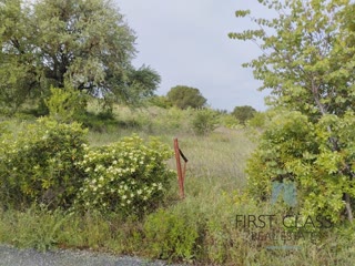 4437 m² Parcel
