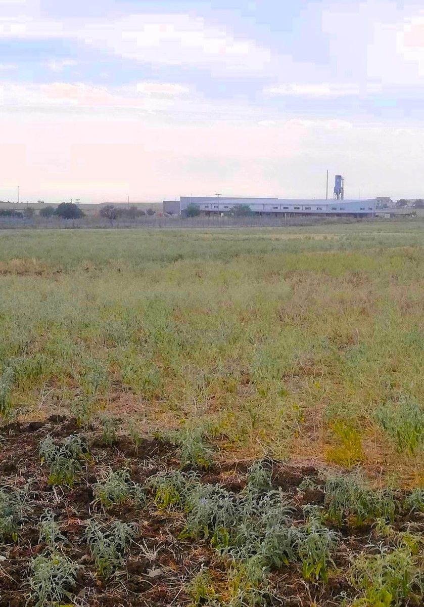 19800 m² Parcel