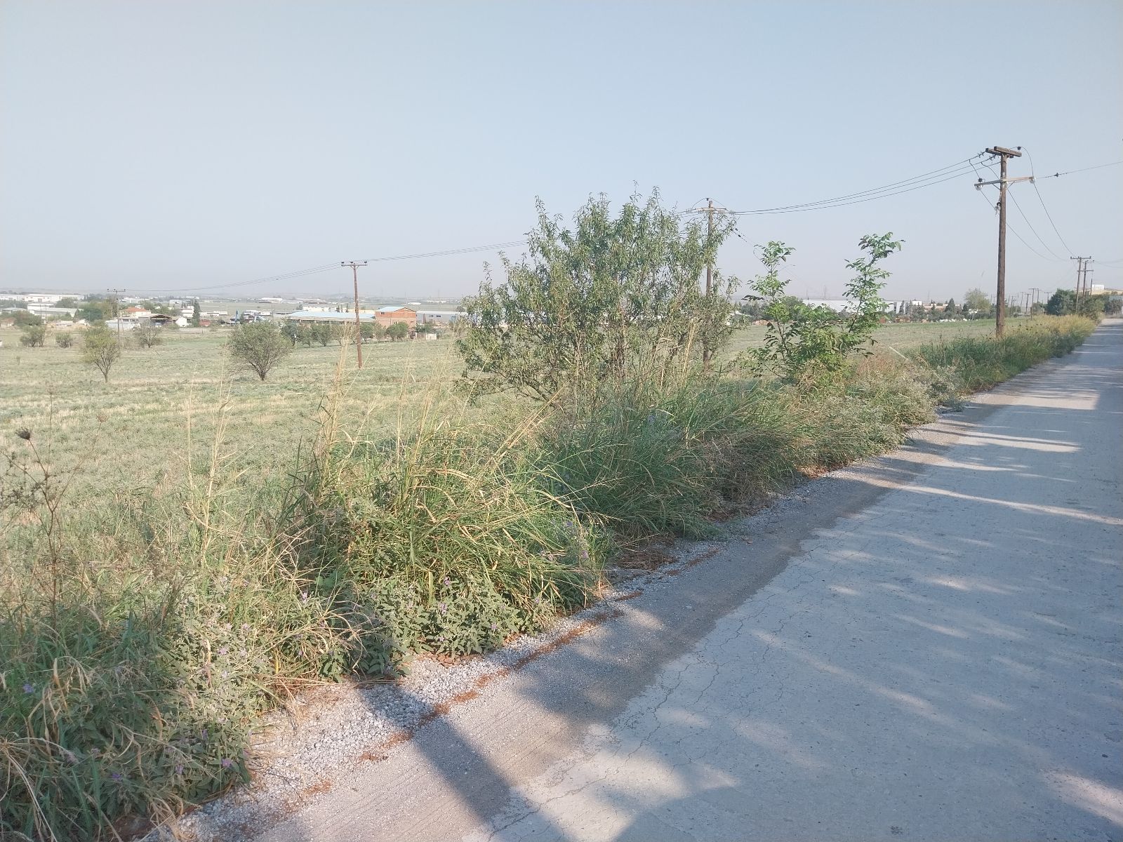 Αγροτεμάχιο 15772τ.μ.