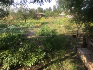 Продам будинок з ділянкою