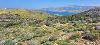 5537 m² Parcel