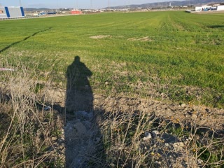 6200 m² Parcel