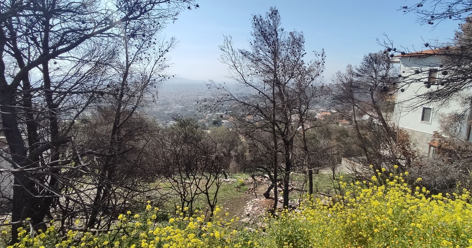 1095 m² Plot