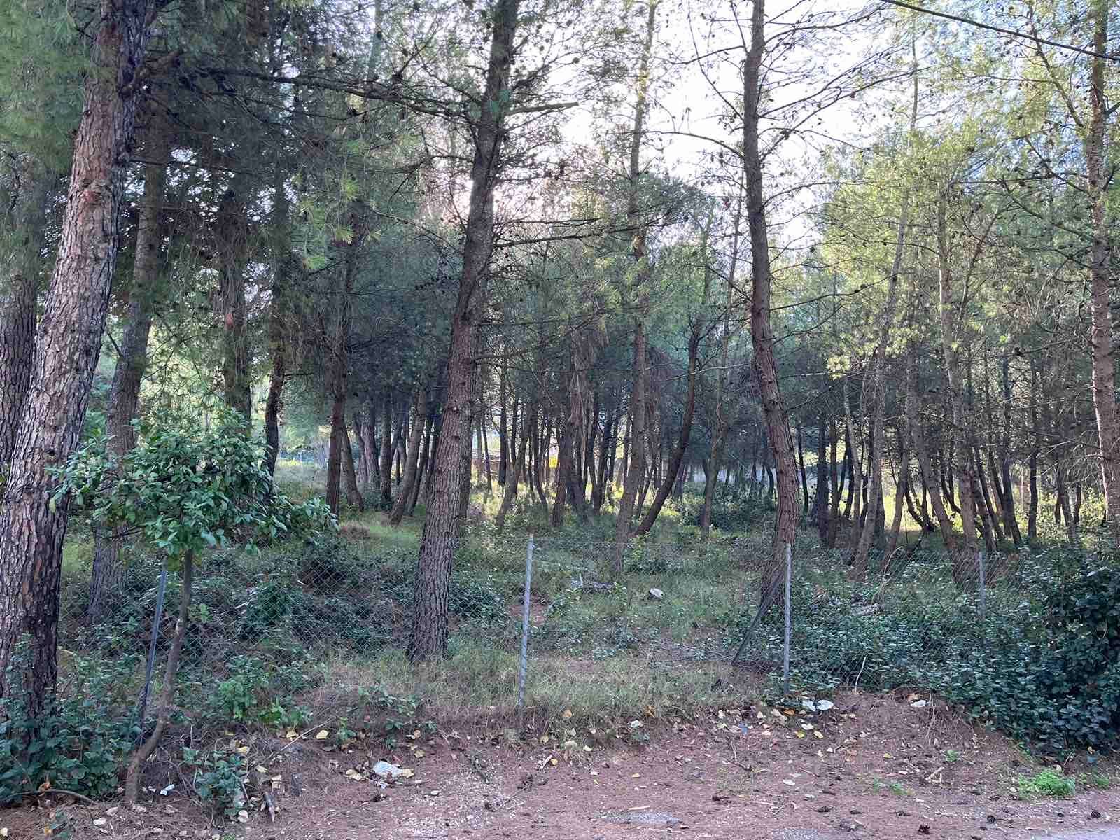 Участок 800 м²