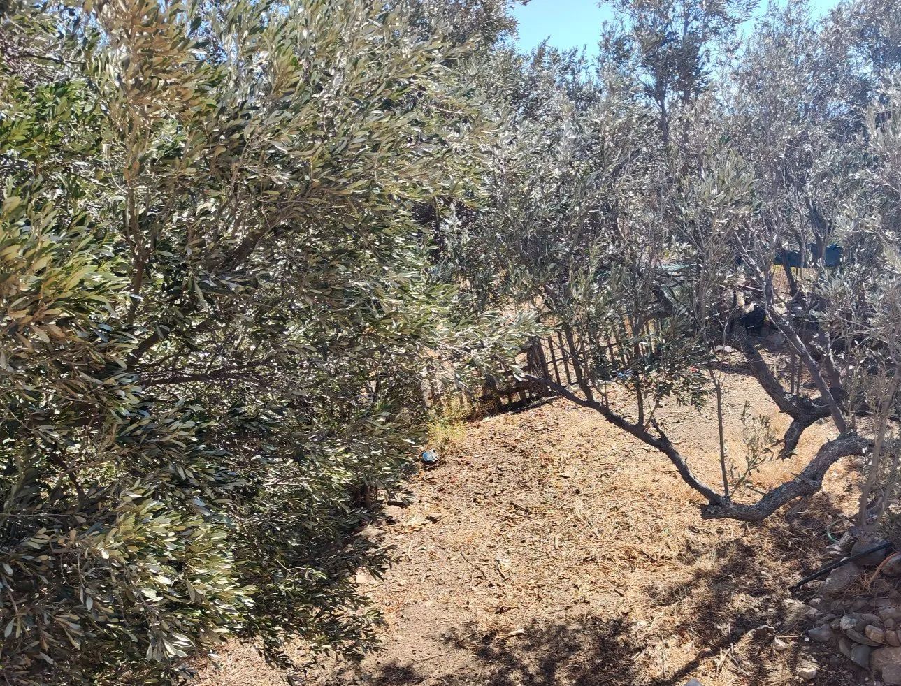 416 m² Plot