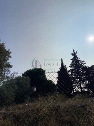 800 m² Plot