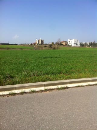 2000 m² Plot