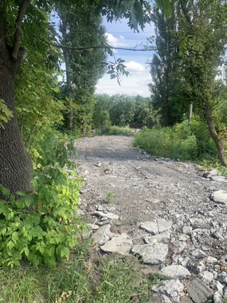 Plot in Lesnoye village