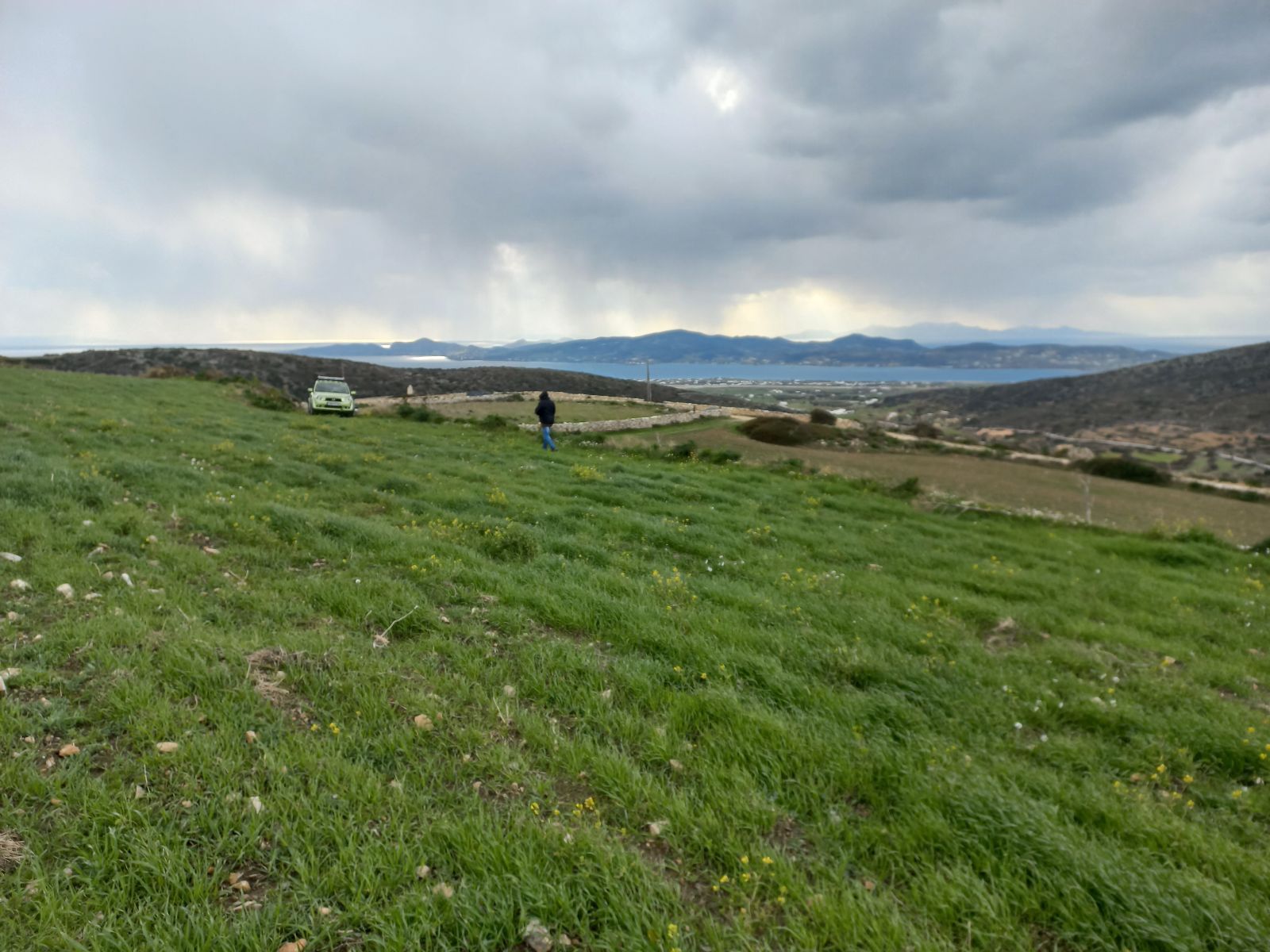 8000 m² Parcel