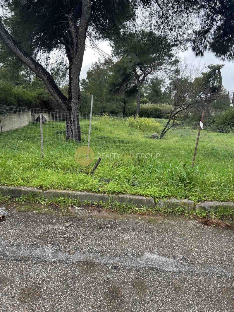 Οικόπεδο 6400 τ.μ.