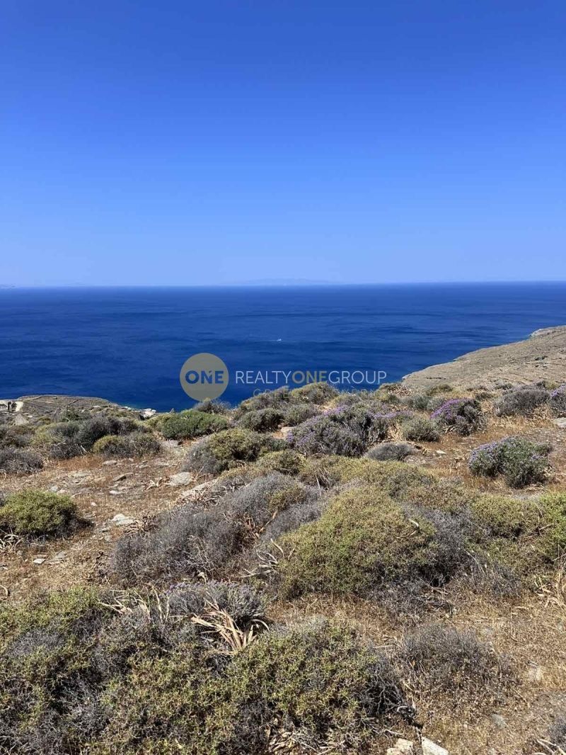Οικόπεδο 3000 τ.μ.
