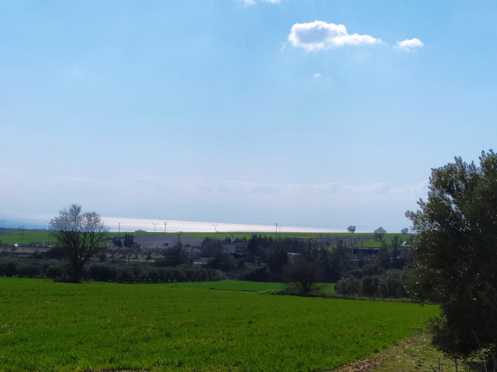 4600 m² Parcel