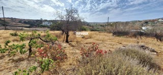3466 m² Plot