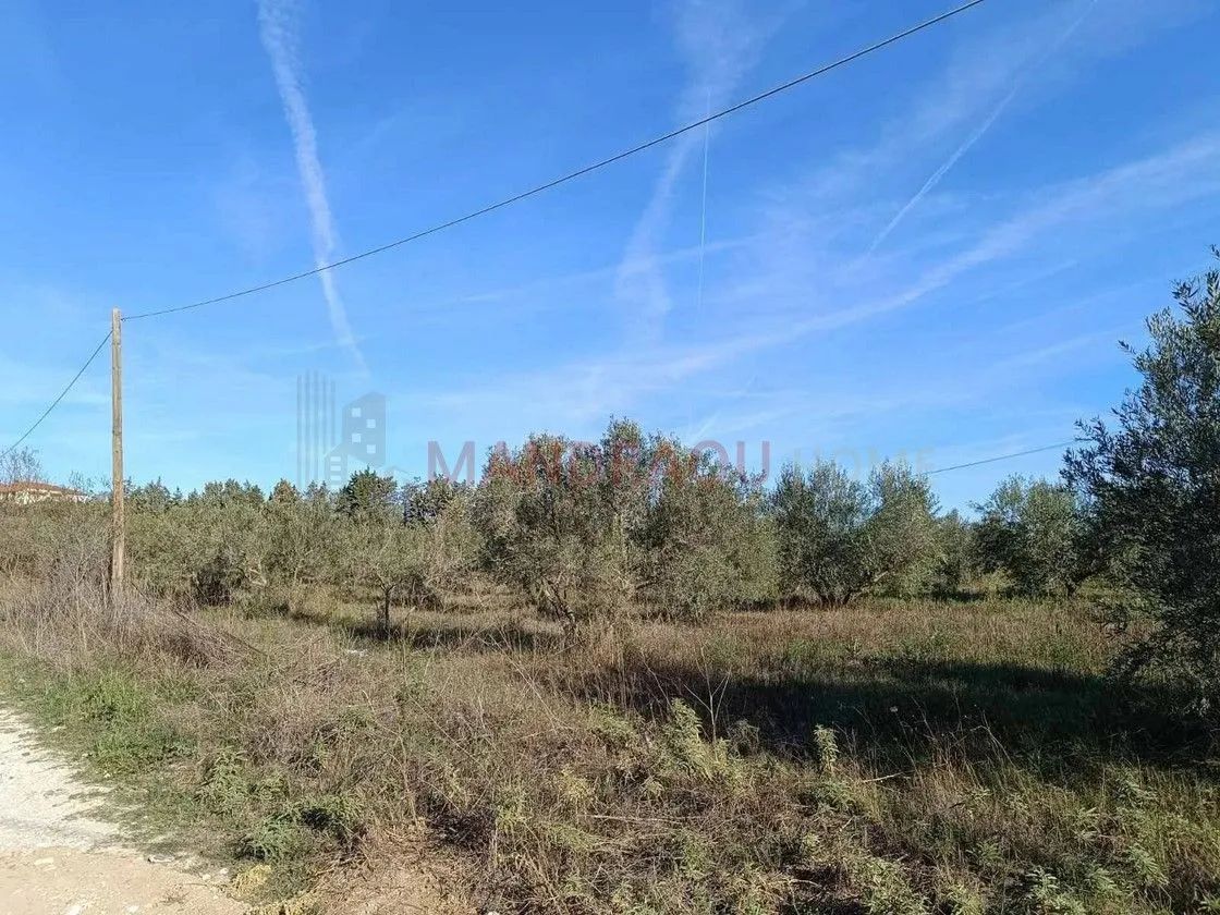 7500 m² Parcel