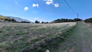 5200 m² Plot