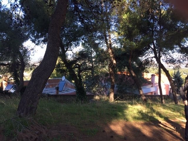 Οικόπεδο 1000τ.μ.