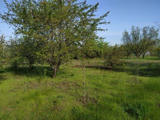 Plot (Dacha) Novye Derhachi
