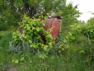 Продається дача в садовому товаристві "Гелій", Нова Козача Лопань