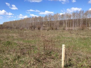 For sale: land plot in Lyubotyn